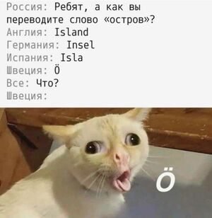 Маленькая пятница уже здесь! Заряжаемся позитивом с лучшими приколами!