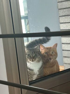 Маленькая пятница: Заряжаемся позитивом и смехом!