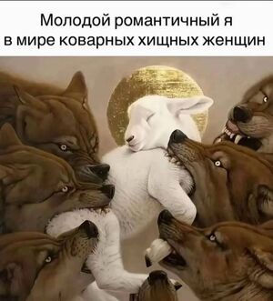 Пятница, ты ли это? Время для порции свежего юмора!