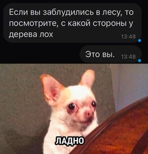 Улыбнитесь с утра: Лучший юмор из соцсетей и мемы для вашего позитивного дня!