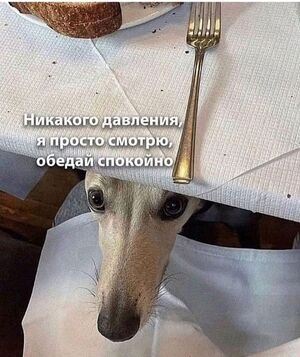 Самый свежий юмор в картинках и мемах для поднятия настроения