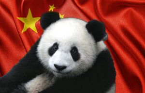 Что такое пандовая дипломатия, и Кто берет этих животных в аренду за 1 миллион долларов