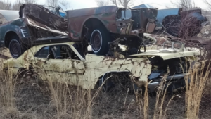 Редкий Mercury Cyclone Spoiler 1970 года найден в заброшенном автосвалке Мичигана