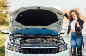 Почему автомобили не оснащаются сеткой для радиатора с завода