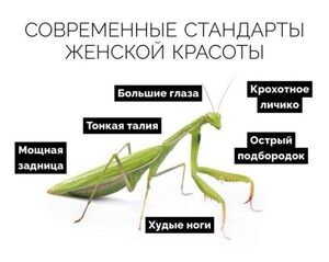 Зимнее настроение на максимум: свежая порция мемов и комментариев из соцсетей!