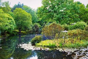 Зеленые сокровища мира: самые красивые ботанические сады планеты