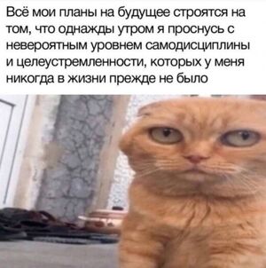 Большой сборник отборного юмора в картинках и мамах на выходной