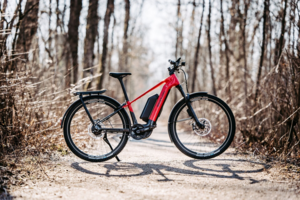 Австрийский электровелосипед Simplon Cure:E - универсальный e-MTB для путешествий и города