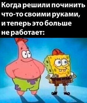 Внимание, юморологи! Свежая порция позитива уже здесь!