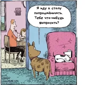 Хотите начать день с улыбки? Тогда ловите свежую порцию юмора!