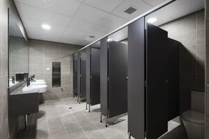 Почему в общественных туалетах дверь не достает до пола