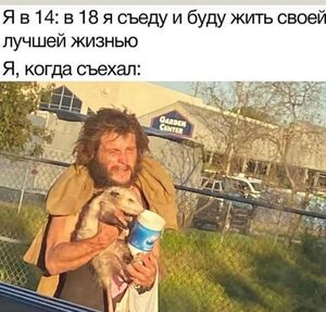 Пятница! А у нас для вас свежая порция мемов и приколов!