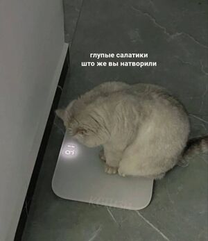 Выходные начинаются с улыбки! Свежая порция юмора для отличного настроения!