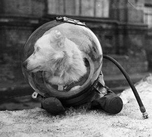 Исторические шедевры. Класс!