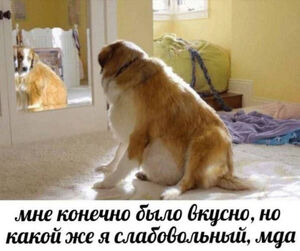 Новогоднее настроение: версия “после”