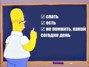 Новые шутки – отличное настроение гарантировано!