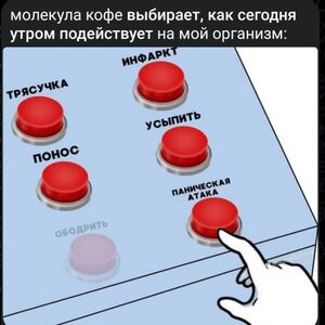 Пятница! А значит, время для большого заряда позитива! 