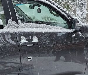 Охотник в Ленобласти перепутал автомобиль с лосем и застрелил пассажира