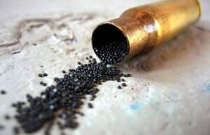 Сколько могут храниться патроны или какой срок годности у пороха