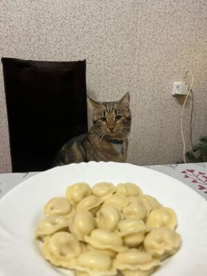 Маленькая пятница – время для смеха!