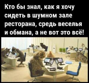 Свежий юмор в большой подборке приколов!