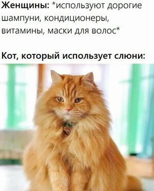 Утро начинается с улыбки! Новая порция мемов, картинок и фото с надписями уже здесь!