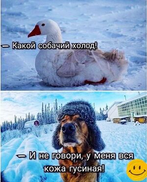 Новая порция смеха к маленькой пятнице!