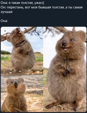 Маленькая пятница уже здесь, а значит, время для свежей порции смеха! 