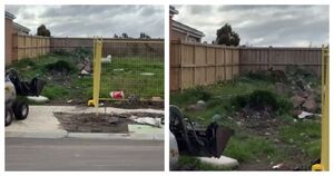 Почему австралийцы ставят высокие заборы