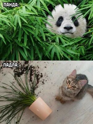 Большой сборник приколов на выходной: зарядитесь порцией отличного настроения!