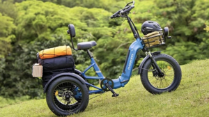 Электрический трицикл Puckipuppy Rottweiler: новый взгляд на комфортные поездки