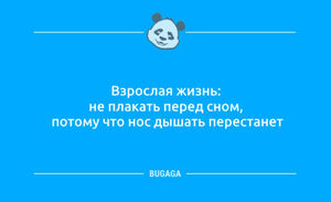 Анекдотов пост: «Взрослая жизнь…» (11 фото)