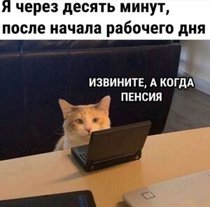 Только лучшее! ✨ Новые, уморительные мемы для вашего позитива!