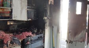 Пушистый проказник из США едва не спалил дом, запрыгнув на плиту