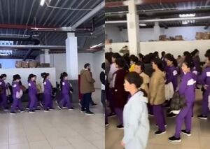 Новые работники на складах Wildberries: кто они и как работают?