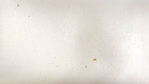 Отмываем кухонный фартук и гарнитур от жира