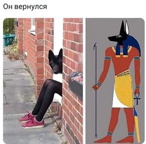 Дождались! Пятница принесла с собой не только выходные, но и порцию свежего юмора! 