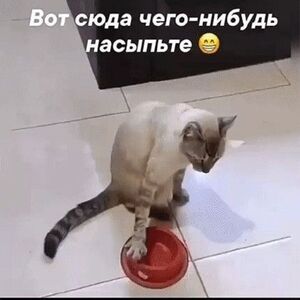 Выходные с улыбкой: свежая порция юмора для отличного настроения!