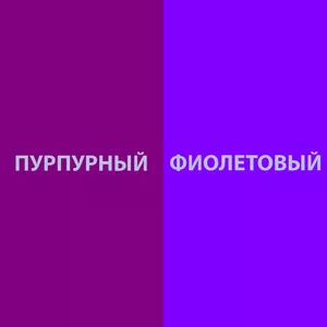 Пурпурного цвета не существует: почему наш мозг его выдумывает?