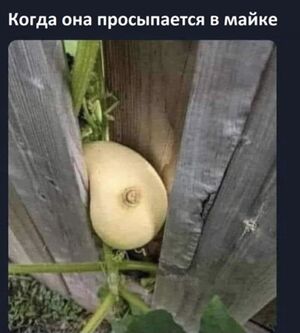 Забудьте о скуке! Мы собрали для вас самую свежую порцию отборных мемов и уморительных комментариев!