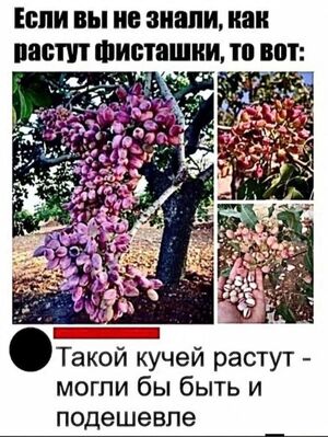Забудьте о скуке! Мы собрали для вас самую свежую порцию отборных мемов и уморительных комментариев!