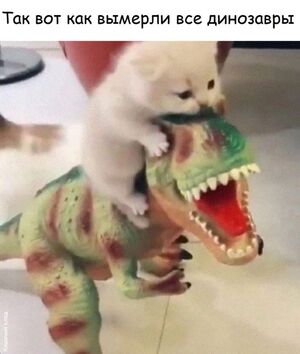 Готовьтесь к взрыву позитива! Ваш пятничный сборник свежайших шуток, мемов и картинок уже здесь!