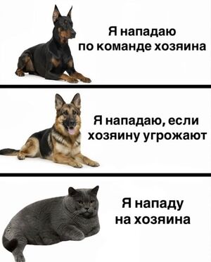 Большой сборник свежих мемов и комментариев из соцсетей – ваш заряд позитива на весь день!