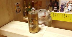 Найдено животное, способное пить и не пьянеть