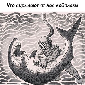 Большой сборник приколов в пятницу!