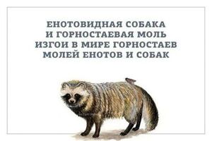 Выходные начинаются с улыбки!