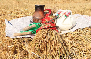 Почему Пожинки - знаковый праздник в жизни русской деревни