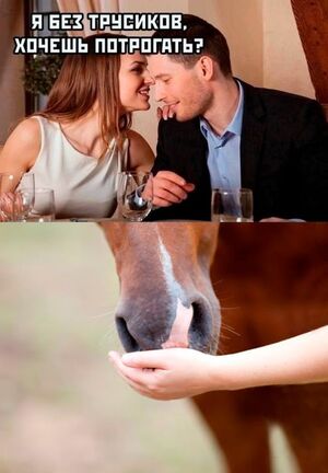 Свежие шутки, мемы и картинки – для вашего отличного настроения! 