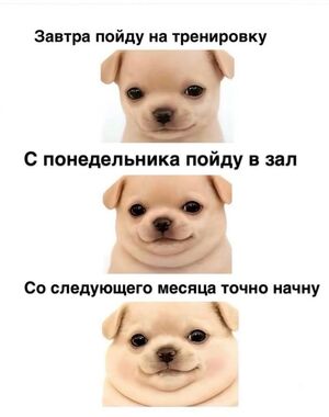 Ваш билет в мир хорошего настроения: новый сборник свежих шуток!