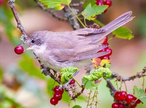 Маленькая пятница уже здесь! 